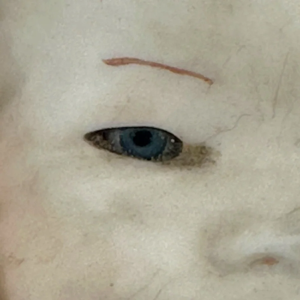 For Repair: Antique Bisque‎ Baby Doll Porcelain Head Hands Glass Eyes Cloth Body